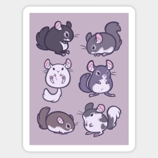 Chinchillas 1 Magnet